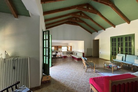 Дом 350м² в Закинтос, Греция №108897 18