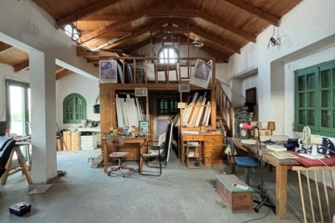 Дом 350м² в Закинтос, Греция №108897 22