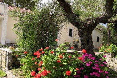 Дом 350м² в Закинтос, Греция №108897 24