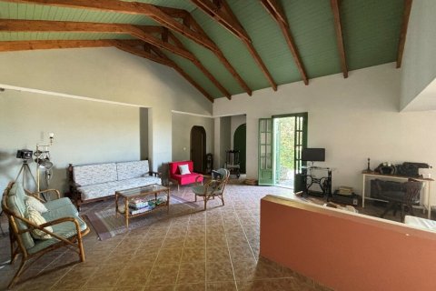 Дом 350м² в Закинтос, Греция №108897 20