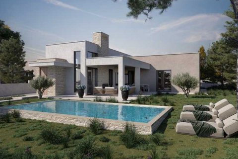 1 dormitorio House en Souni–Zanatzia, Cyprus No. 101325 3