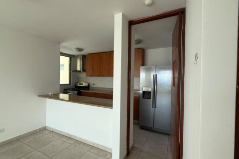 3 chambres Appartement à Panama City, Panama No. 128015 3