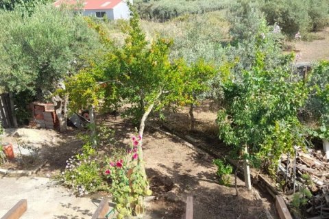 Здание с 2 спальнями в Кавала, Греция №109068 13