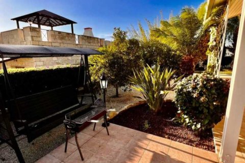 3 chambres Villa à Pegeia, Cyprus No. 101553 15