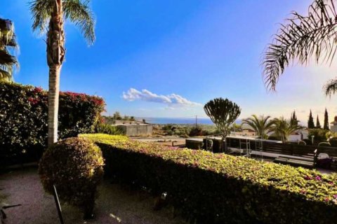 3 chambres Villa à Pegeia, Cyprus No. 101553 16