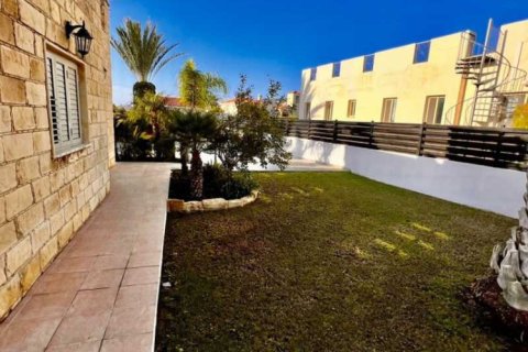 3 chambres Villa à Pegeia, Cyprus No. 101553 14