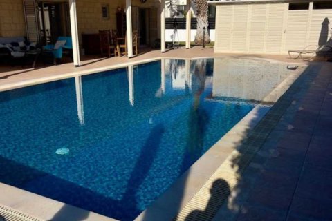 3 chambres Villa à Pegeia, Cyprus No. 101553 7