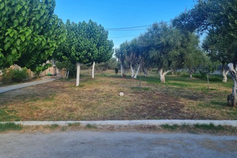 4 dormitorios Maisonette en Zakynthos, Greece No. 69518 20