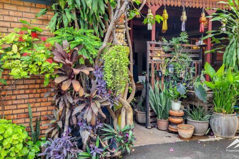 11 bedrooms Commercial property in Chiang Mai, Thailand No. 98065 3