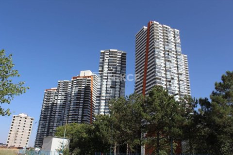 3 bedrooms Apartment in Quang Ngai, Vietnam No. 61105 16