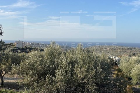 4 bedrooms Villa in Crete, Greece No. 73967 13