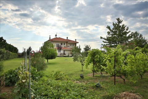7 dormitorios Villa en Epanomi, Greece No. 59107 7
