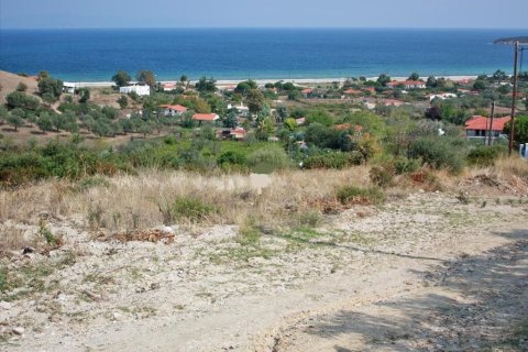 5980m² Land in Chalkidiki, Greece No. 108063 2