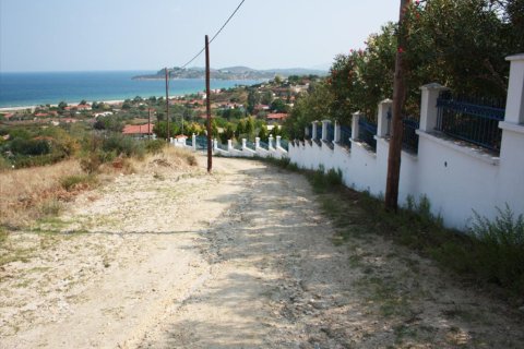 5980m² Land in Chalkidiki, Greece No. 108063 3