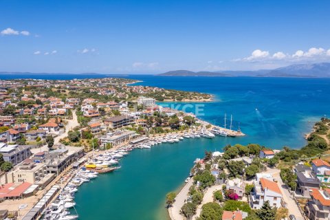 5 bedrooms Villa in Bich Dong, Vietnam No. 53802 26