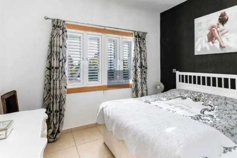 5 chambres Villa à Limassol, Cyprus No. 84422 8