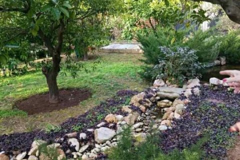 8 rooms House in Nea Makri, Greece No. 56921 8