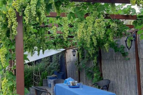 8 rooms House in Nea Makri, Greece No. 56921 18