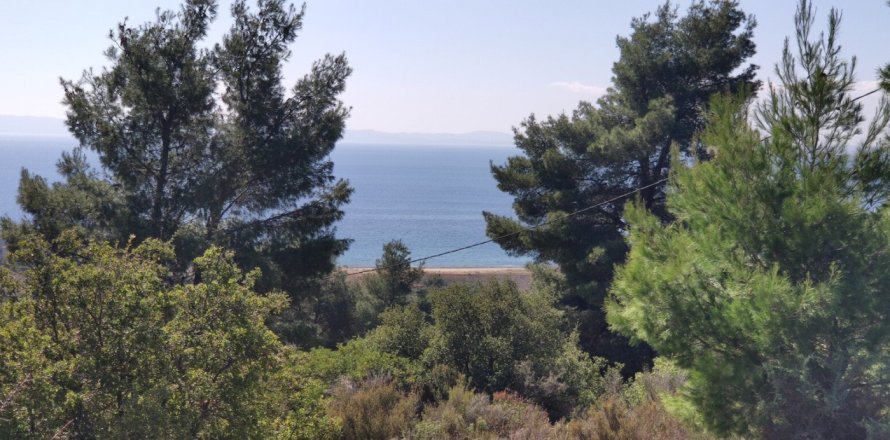 4170m² Land in Polygyros, Greece No. 56374