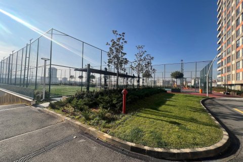 Квартира с 1 спальней в Phu An, Вьетнам №88530 8