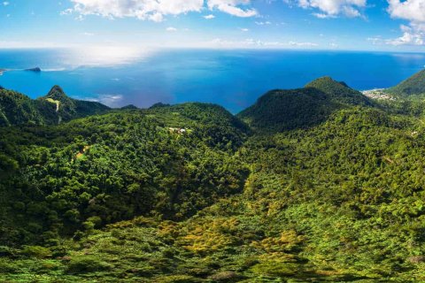 655591m² Land in Pointe Michel, Dominica No. 66253 4