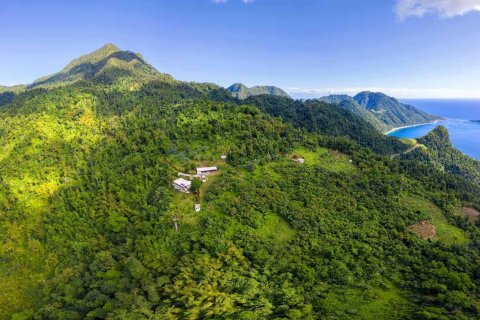 655591m² Land in Pointe Michel, Dominica No. 66253 2