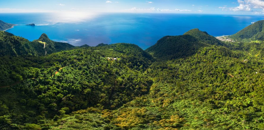 655591m² Land in Pointe Michel, Dominica No. 66253
