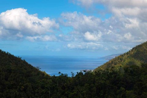 655591m² Land in Pointe Michel, Dominica No. 66253 6