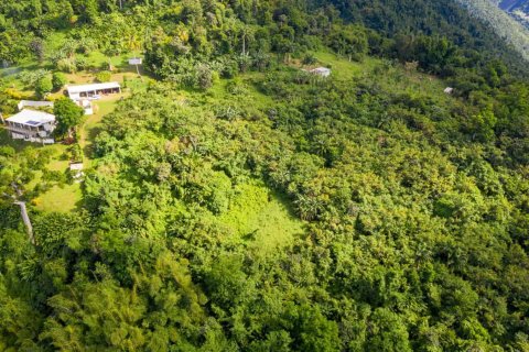 655591m² Land in Pointe Michel, Dominica No. 66253 9