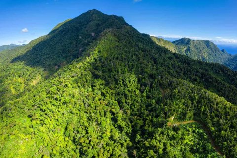 655591m² Land in Pointe Michel, Dominica No. 66253 3
