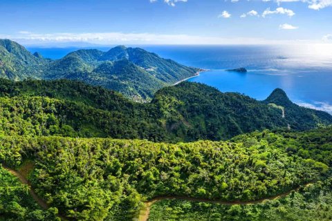 655591m² Land in Pointe Michel, Dominica No. 66253 8