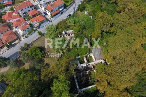 Земельный участок 8166м² в Магнисия, Греция №24252 16