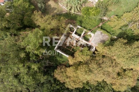 Земельный участок 8166м² в Магнисия, Греция №24252 10