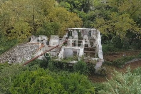 Земельный участок 8166м² в Магнисия, Греция №24252 5