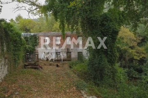 Земельный участок 8166м² в Магнисия, Греция №24252 2