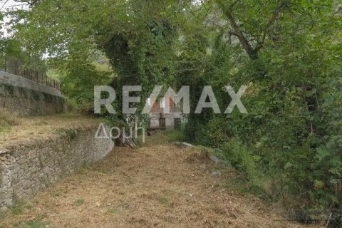 Земельный участок 8166м² в Магнисия, Греция №24252 1