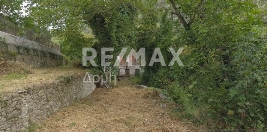 Земельный участок 8166м² в Магнисия, Греция №24252