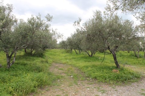 105m² Business in Neapoli, Greece No. 57551 9