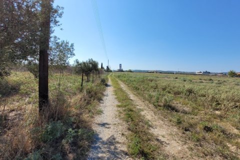 9000m² Land in Thermi, Greece No. 109152 2