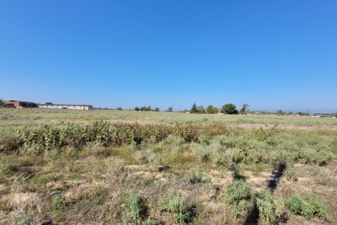 9000m² Land in Thermi, Greece No. 109152 5