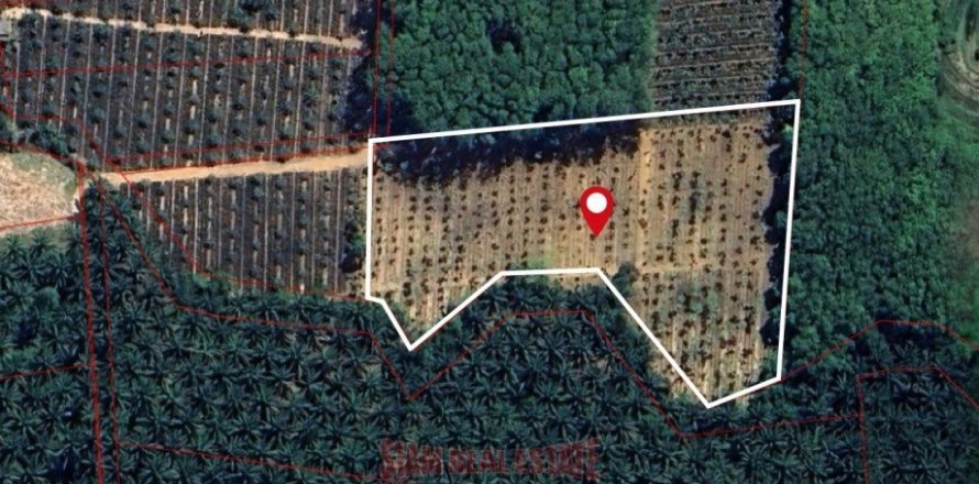8948m² Land en Ao Nang, Thailand No. 97428