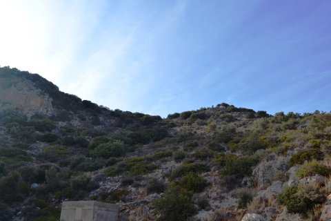 12500m² Land in Agios Nikolaos, Greece No. 57864 5