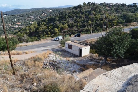 12500m² Land in Agios Nikolaos, Greece No. 57864 4