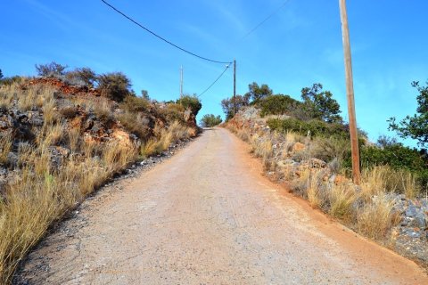 12500m² Land in Agios Nikolaos, Greece No. 57864 2