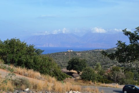 12500m² Land in Agios Nikolaos, Greece No. 57864 1
