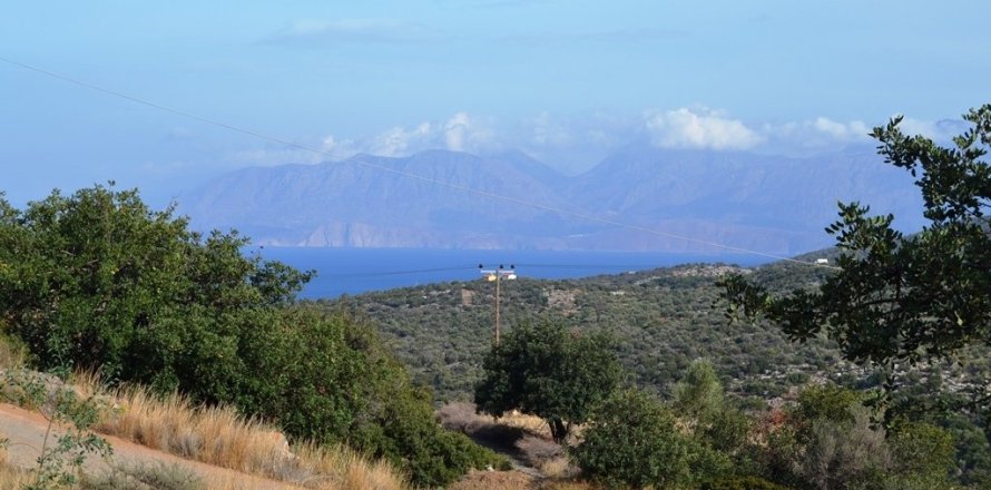 12500m² Land in Agios Nikolaos, Greece No. 57864