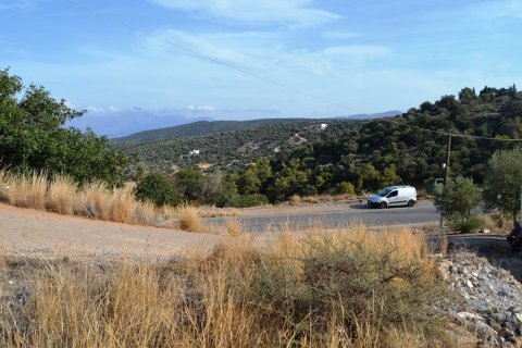 12500m² Land in Agios Nikolaos, Greece No. 57864 3