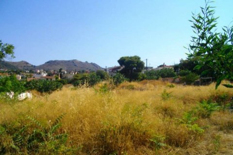 Land in Attica, Greece No. 24708 8