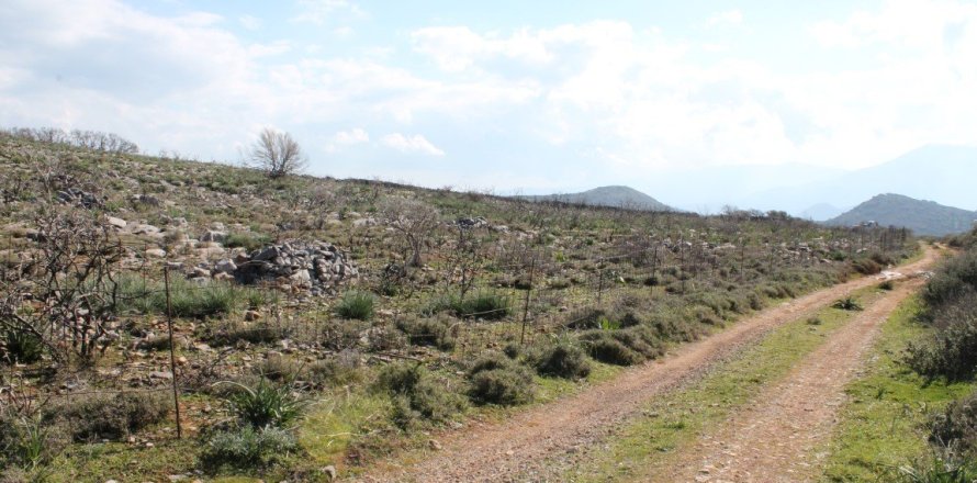 18865m² Land en Agios Nikolaos, Greece No. 57571