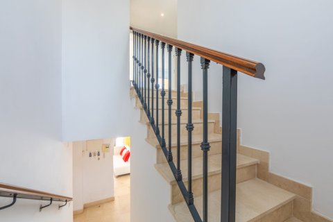 3 bedrooms Penthouse in Dinh An, Vietnam No. 83954 24